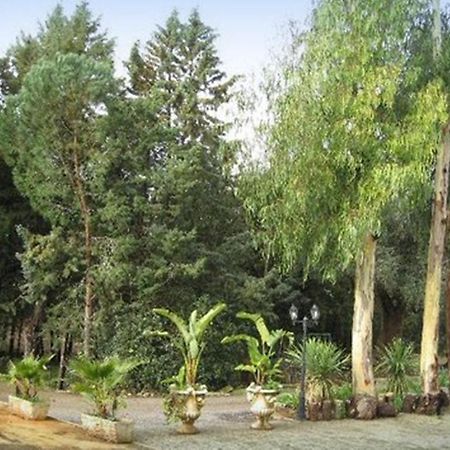 Villa Mado Ceglie Messapica Εξωτερικό φωτογραφία