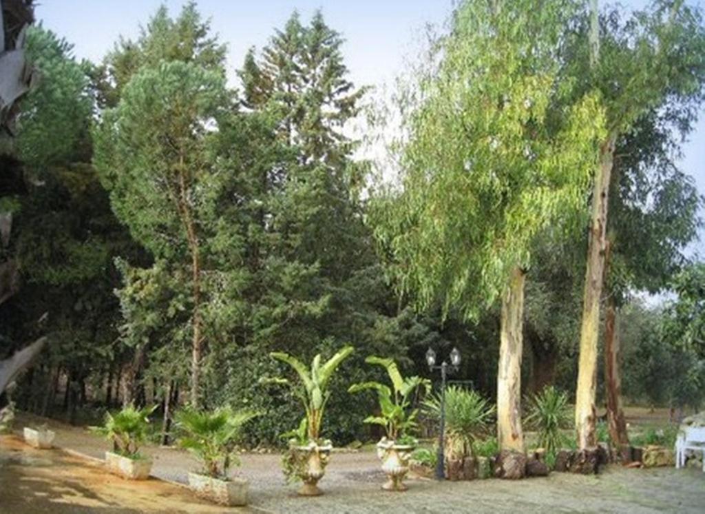 Villa Mado Ceglie Messapica Εξωτερικό φωτογραφία