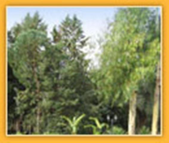 Villa Mado Ceglie Messapica Εξωτερικό φωτογραφία